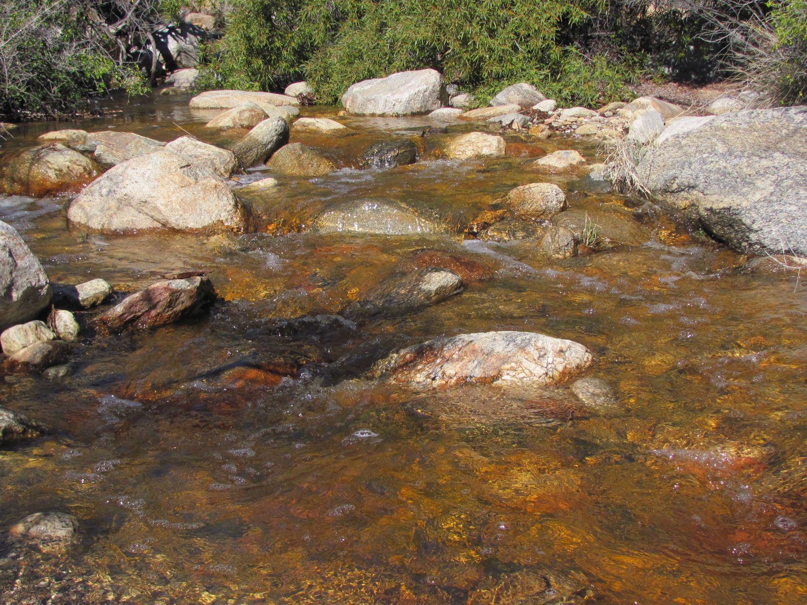 Creek with snowmelt